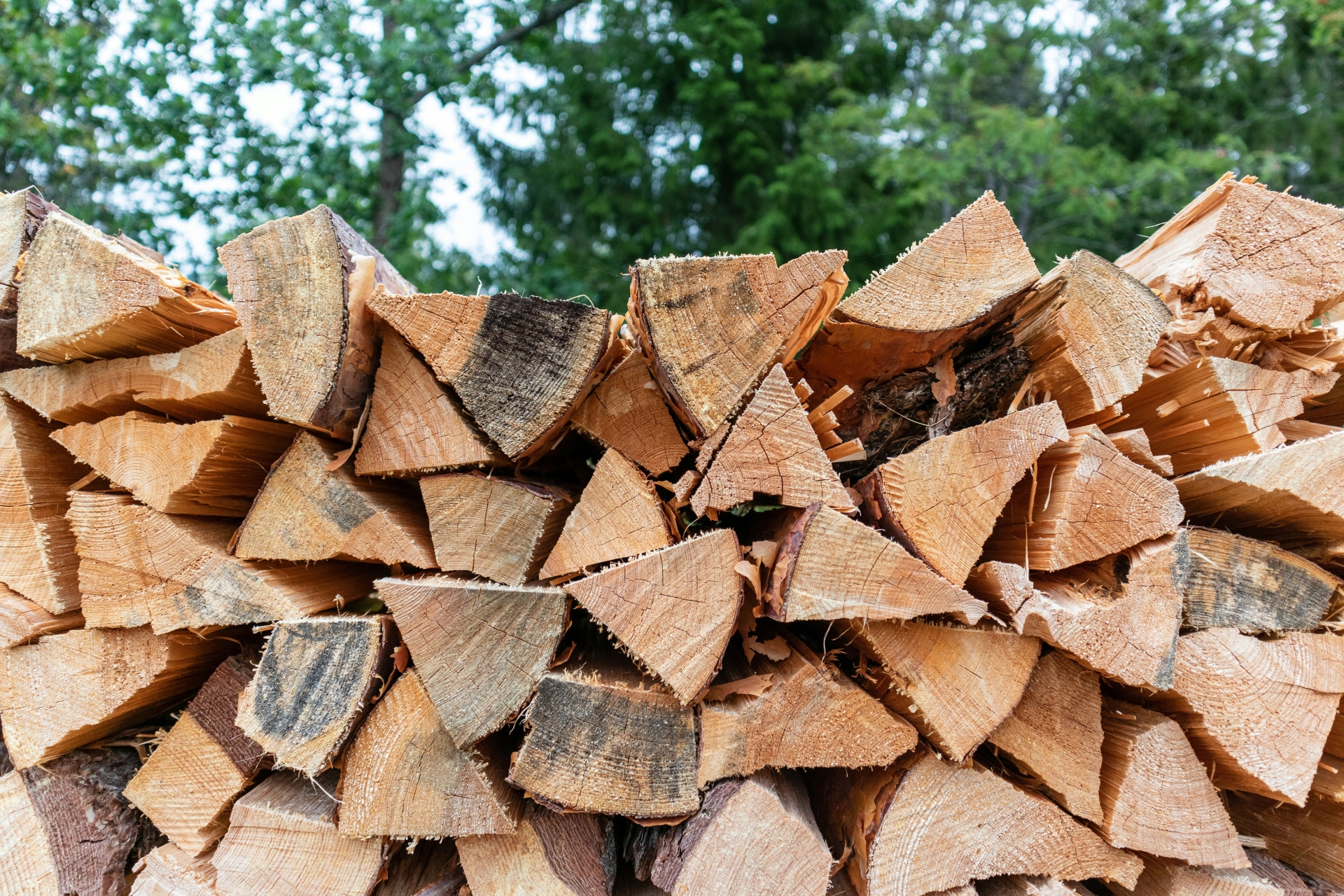 Holzstapel