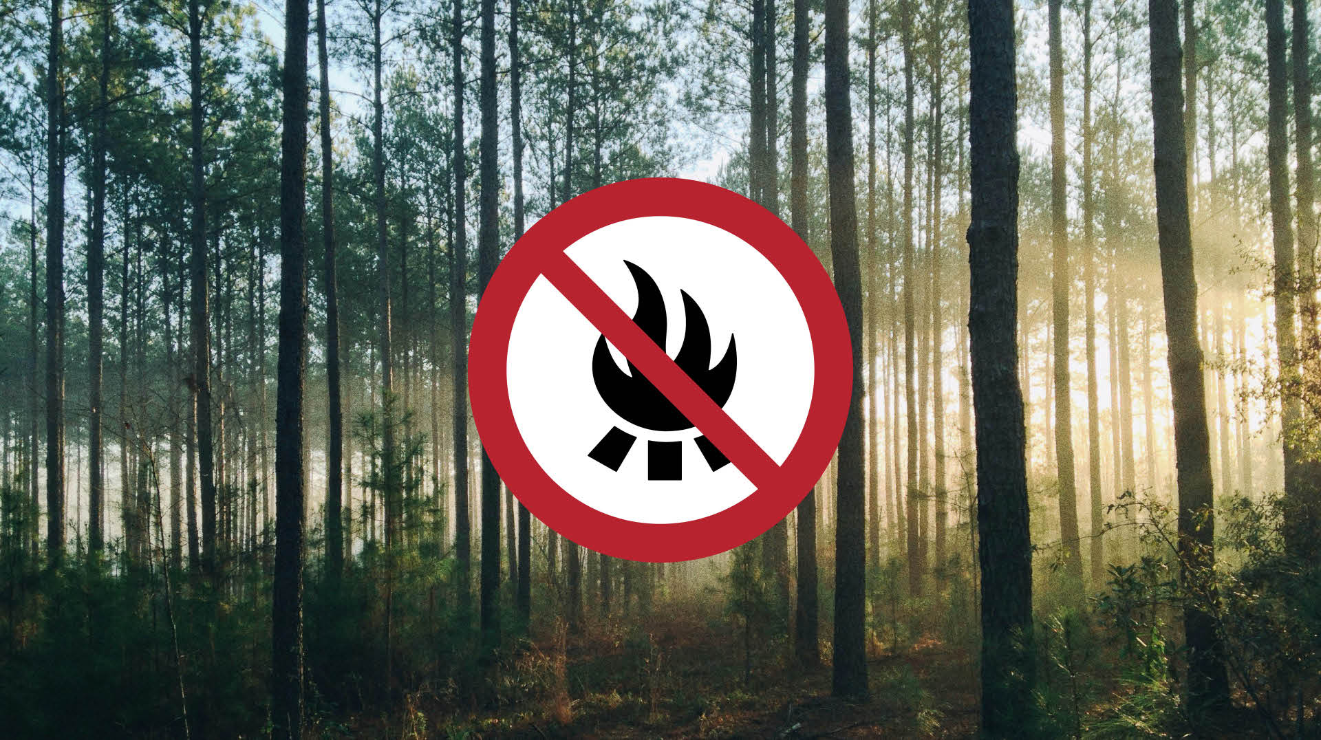 Feuer-Icon mit Wald im Hintergrund