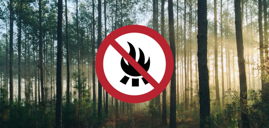 Feuer-Icon mit Wald im Hintergrund