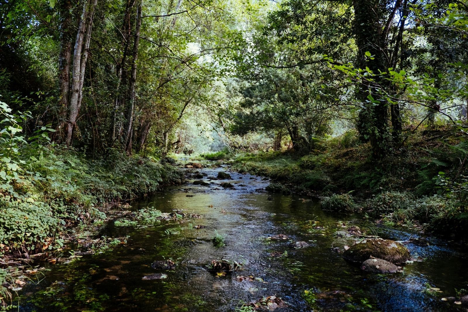 Landschaftsaufnahme mit Wasserlauf