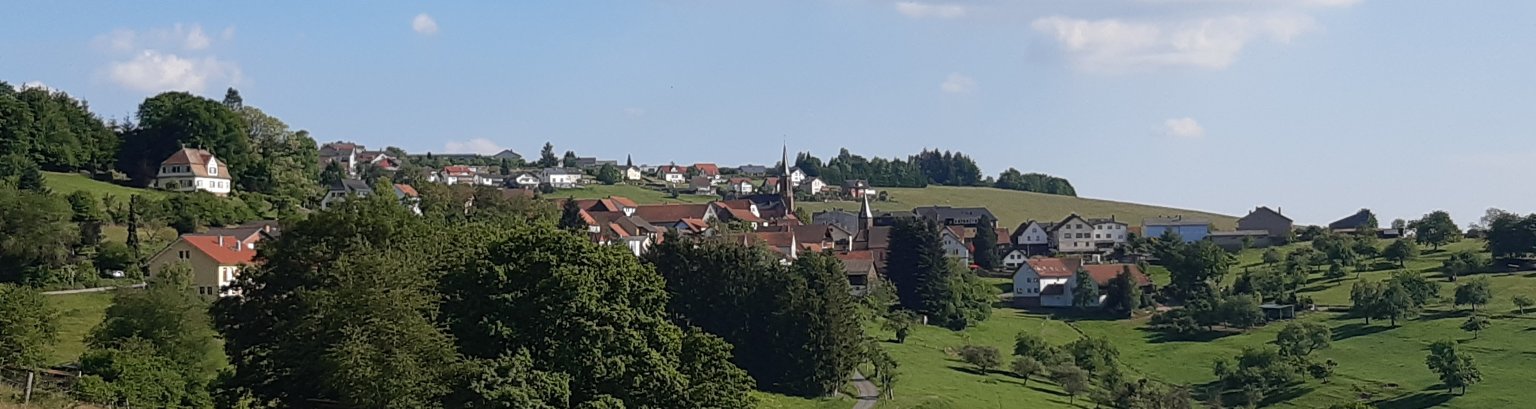 Blick auf den Stadtteil Rothenberg