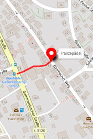 Überblick Franzepädel