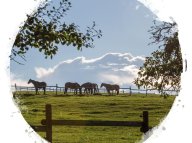 Angert (204)klein.jpg