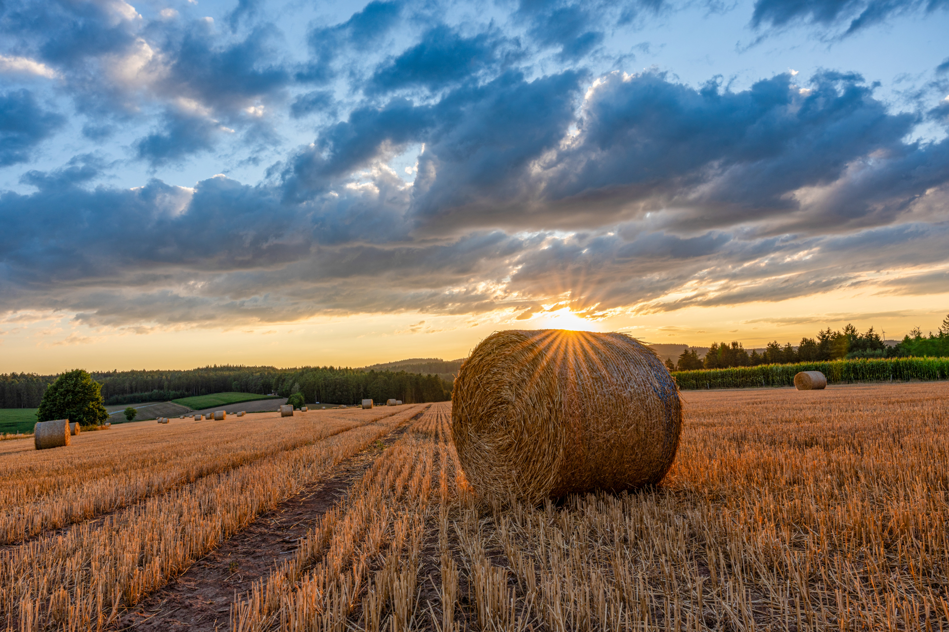 Heuballen auf Feld mit Sonne