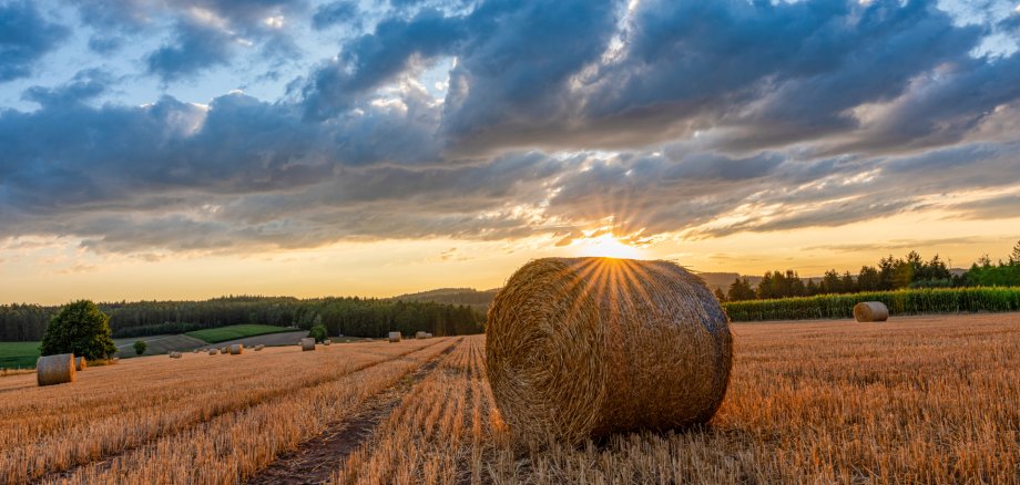 Heuballen auf Feld Heuballen auf Feld mit Sonne