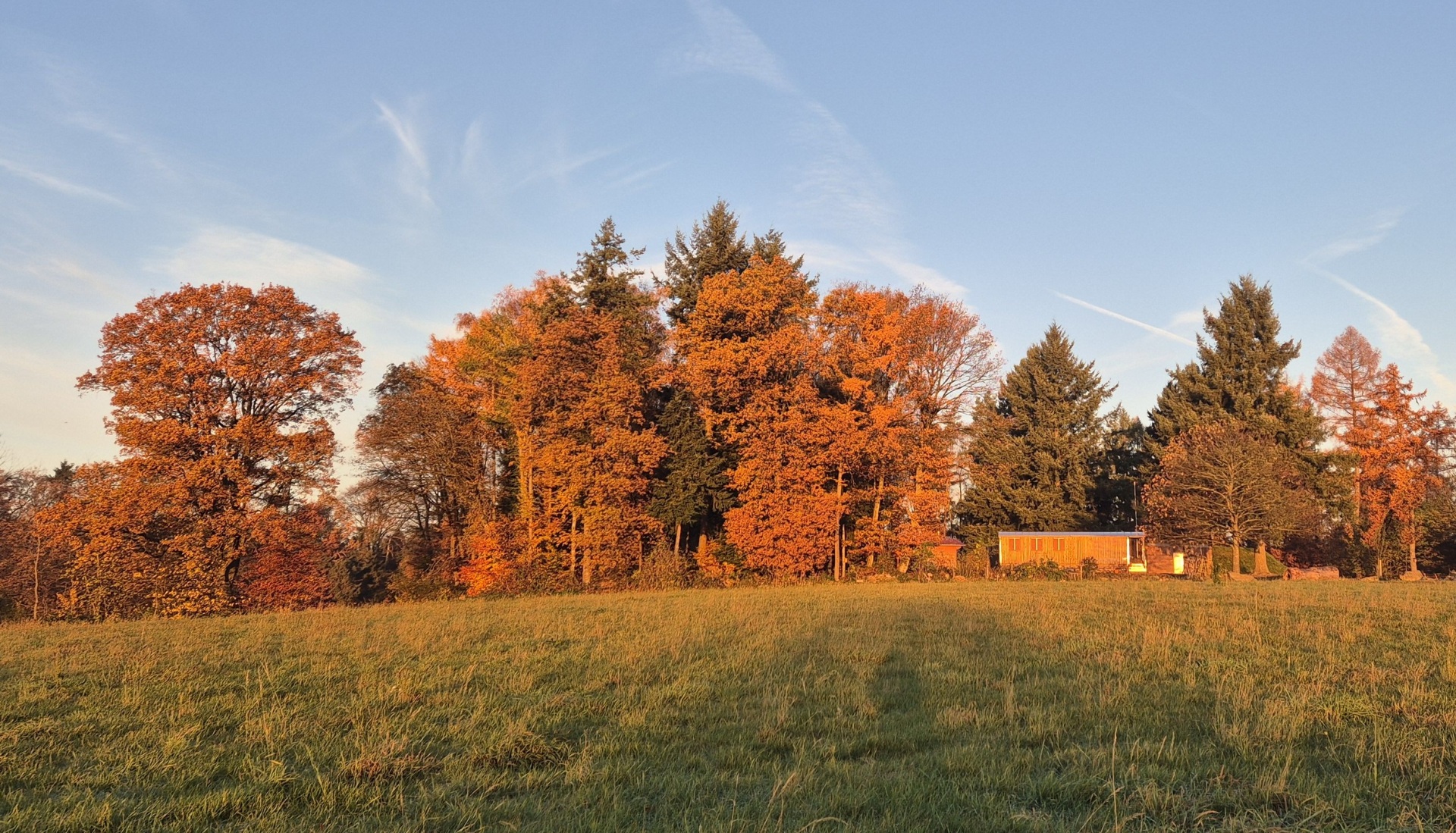 Bauwagen des Waldkindergartens im Herbstwald