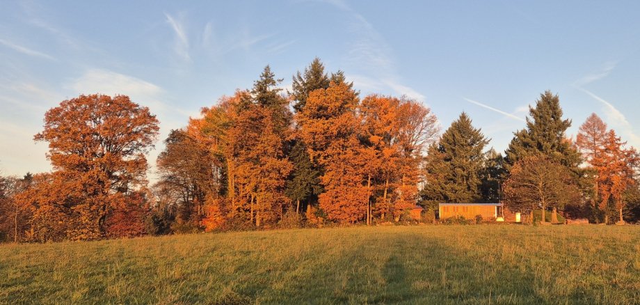 Bauwagen des Waldkindergartens im Herbstwald
