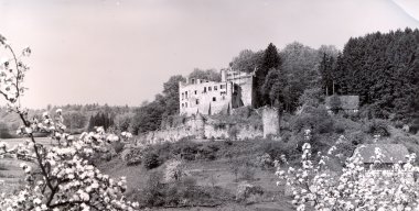 Burgruine mit Obstblüte Herkunft Michel-Helm.jpg