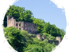 Burg Freienstein Blick auf die Burg Freienstein