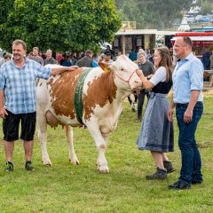 Die gekürte Miss-Beerfelden_Kuh