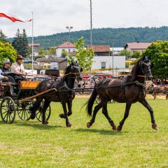Kutschvorführung