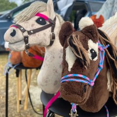 Hobby-Horsing Steckenpferde