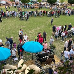 Blick über das Gelände der Tierzuchtschau