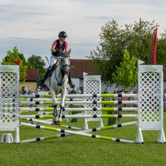 Pferd springt über Hindernis beim Springturnier