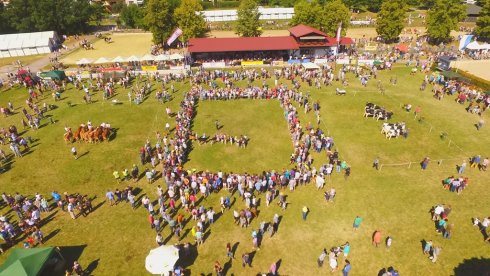 Luftbild der Tierzuchtschau  Luftbild der Tierzuchtschau